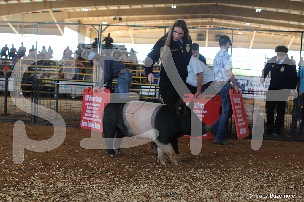 swine9443
