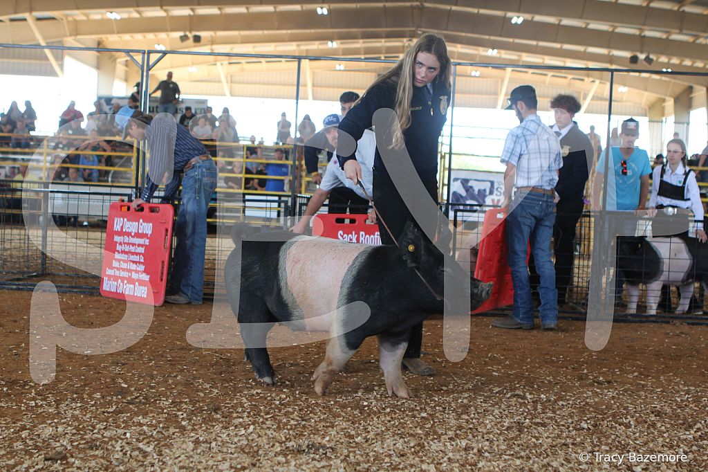 swine9444