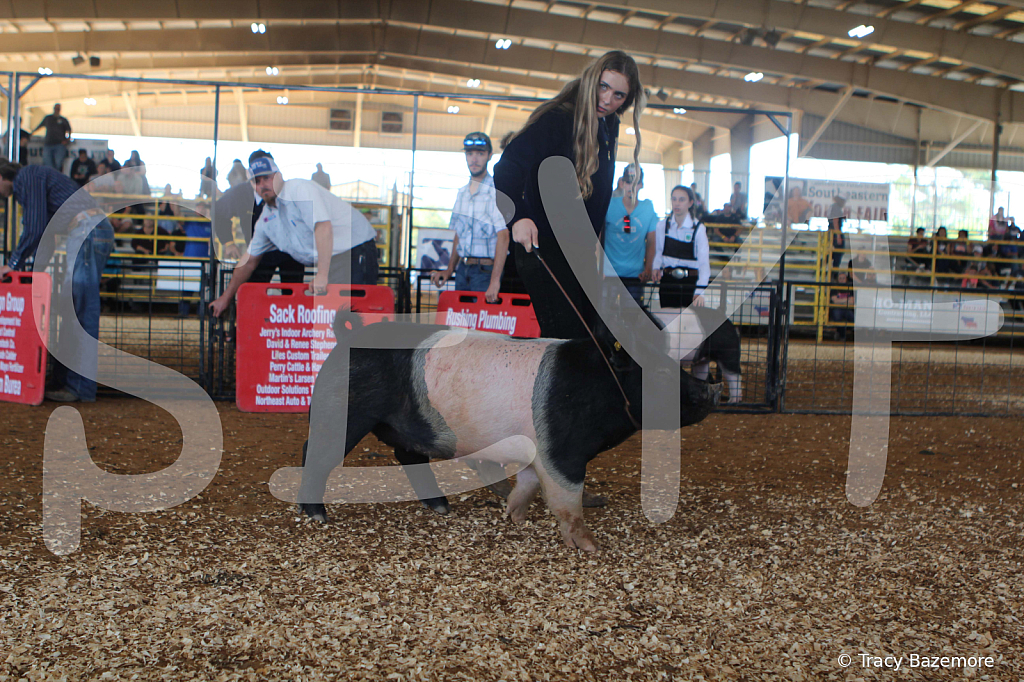 swine9445