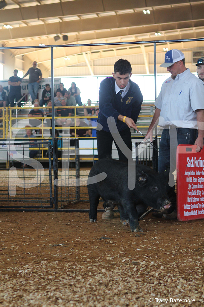swine9446