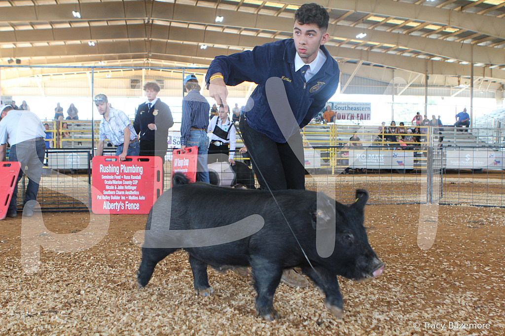 swine9448