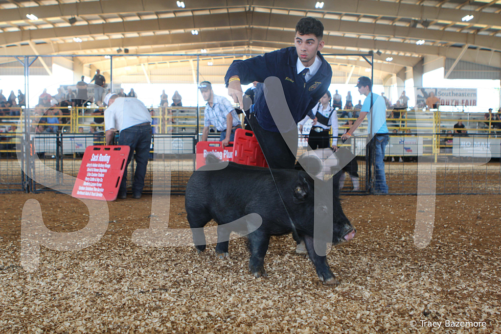 swine9447