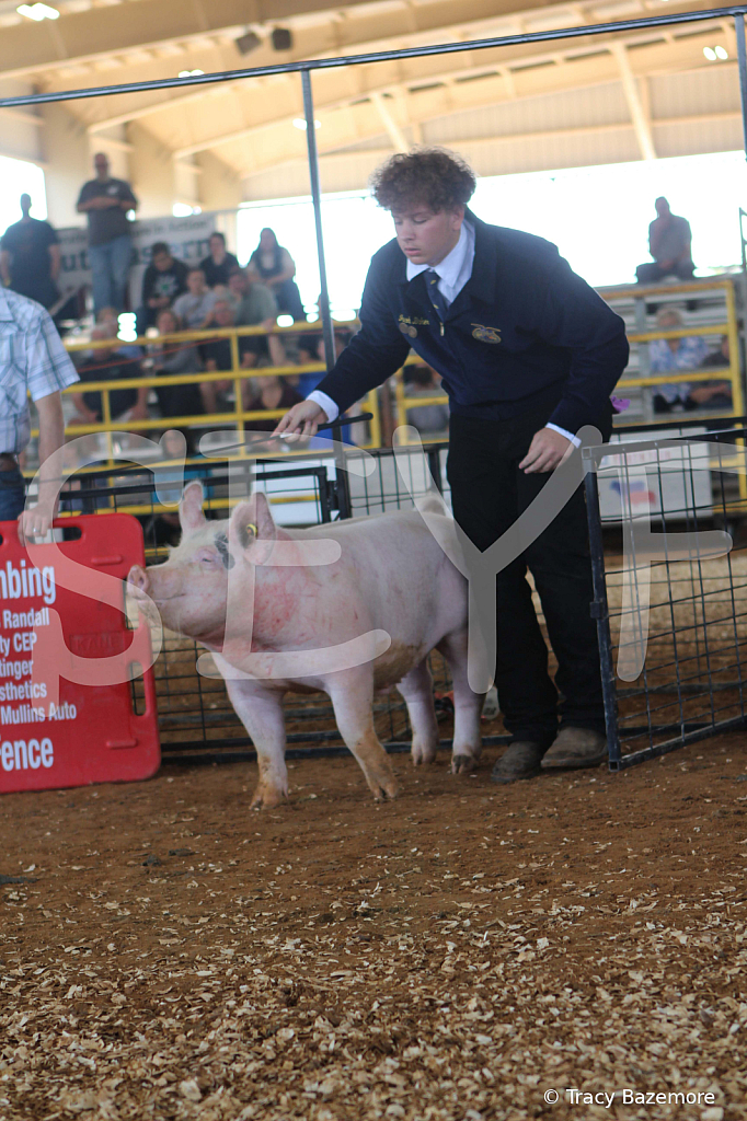 swine9449