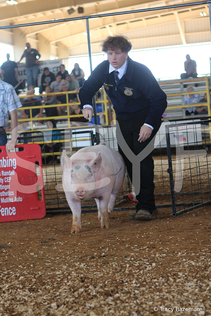 swine9450