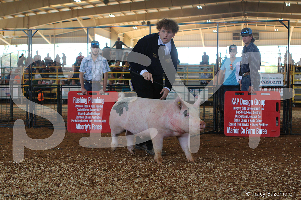 swine9452