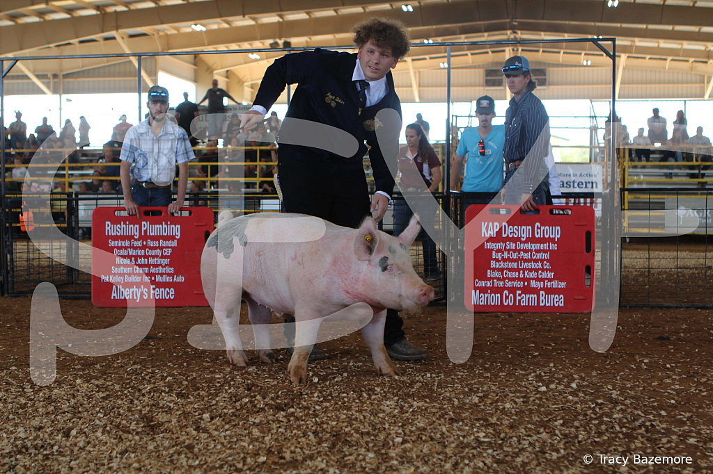 swine9453