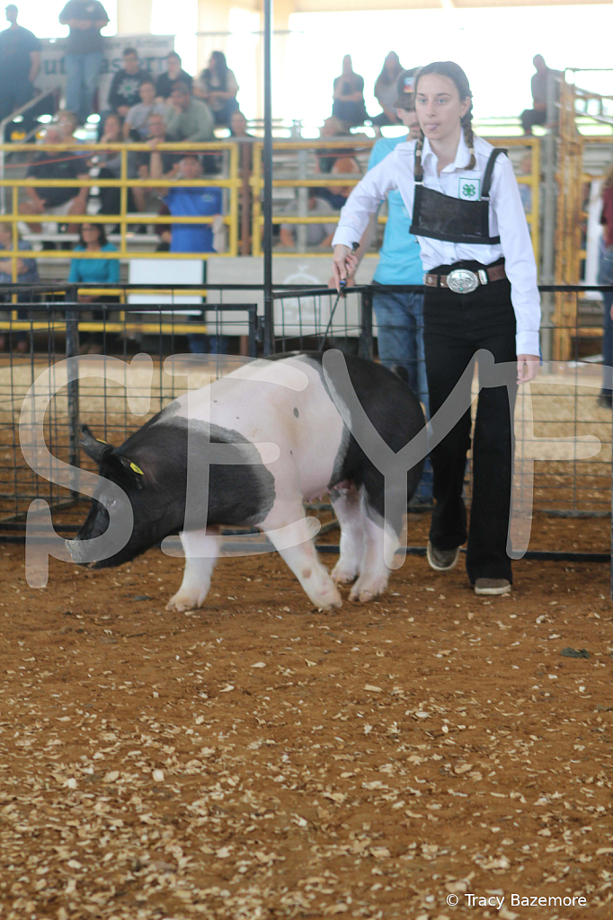 swine9454