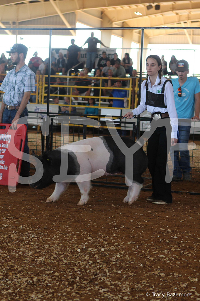 swine9455