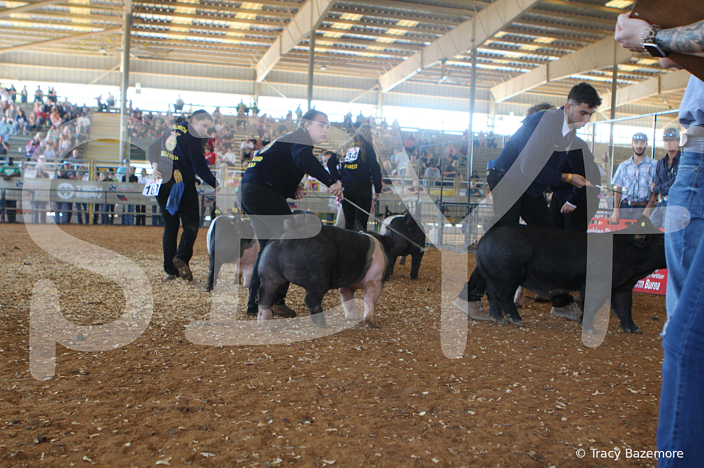 swine9457