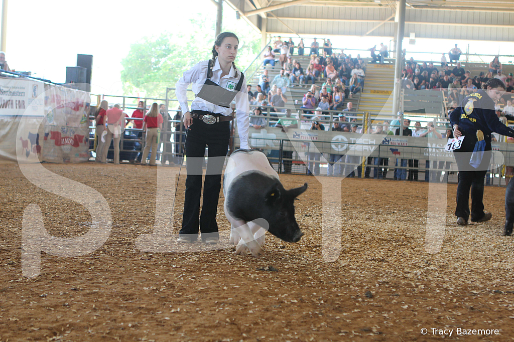 swine9458
