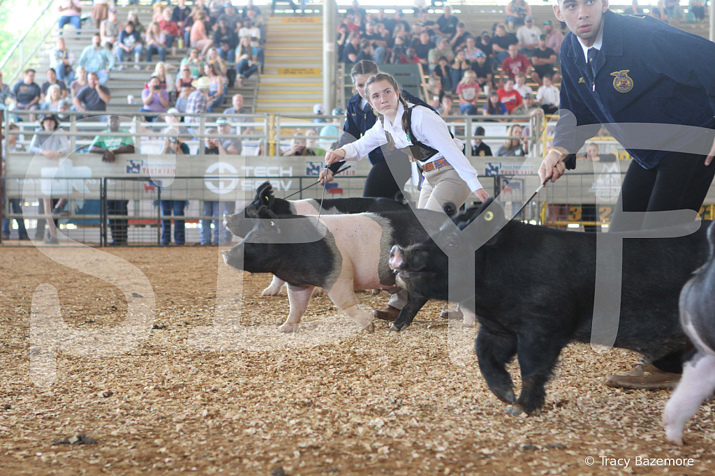 swine9460