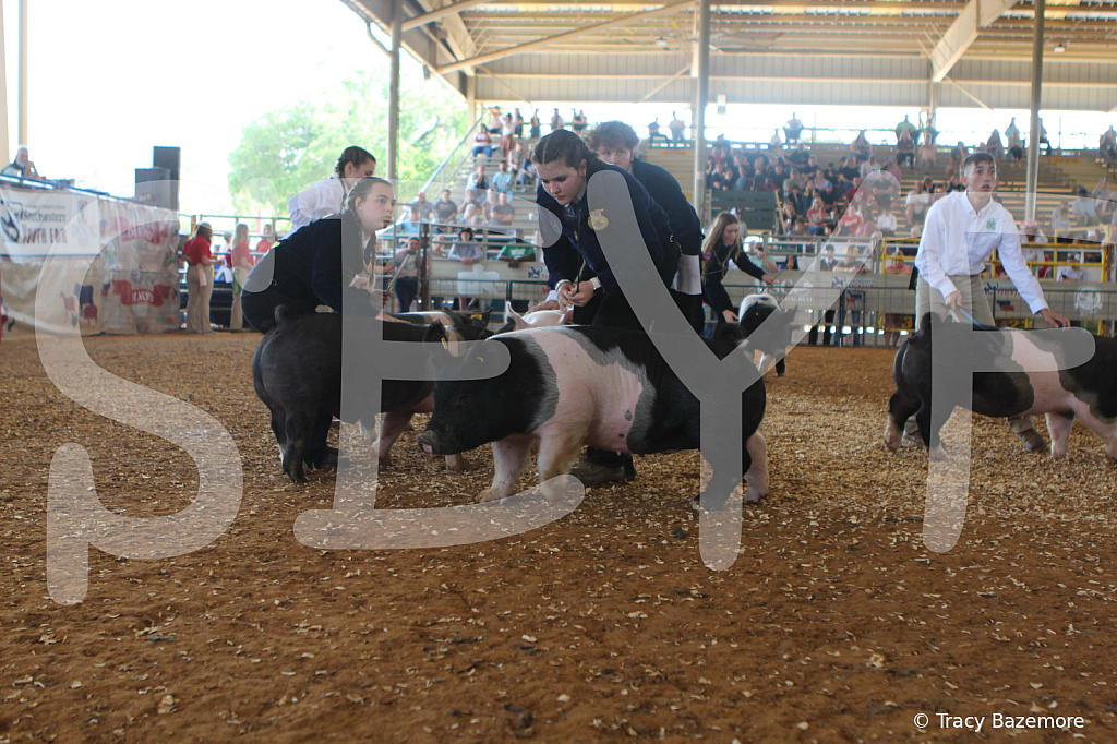 swine9466