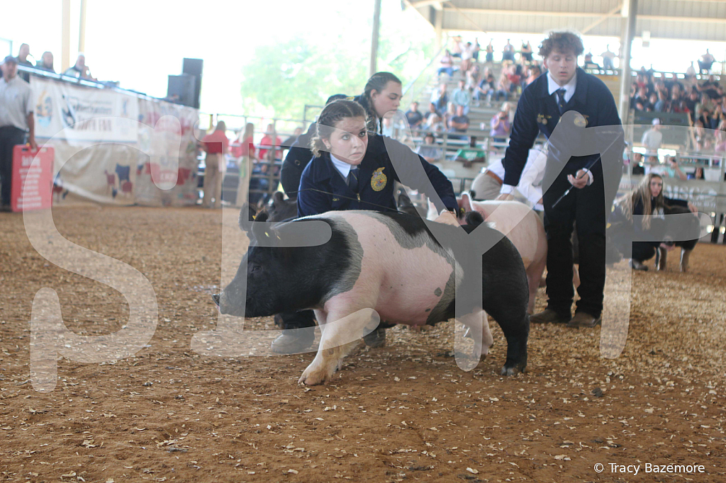 swine9467