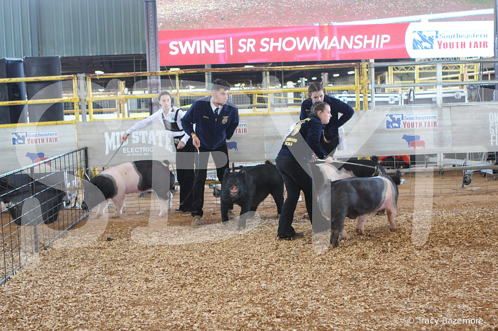 swine9469