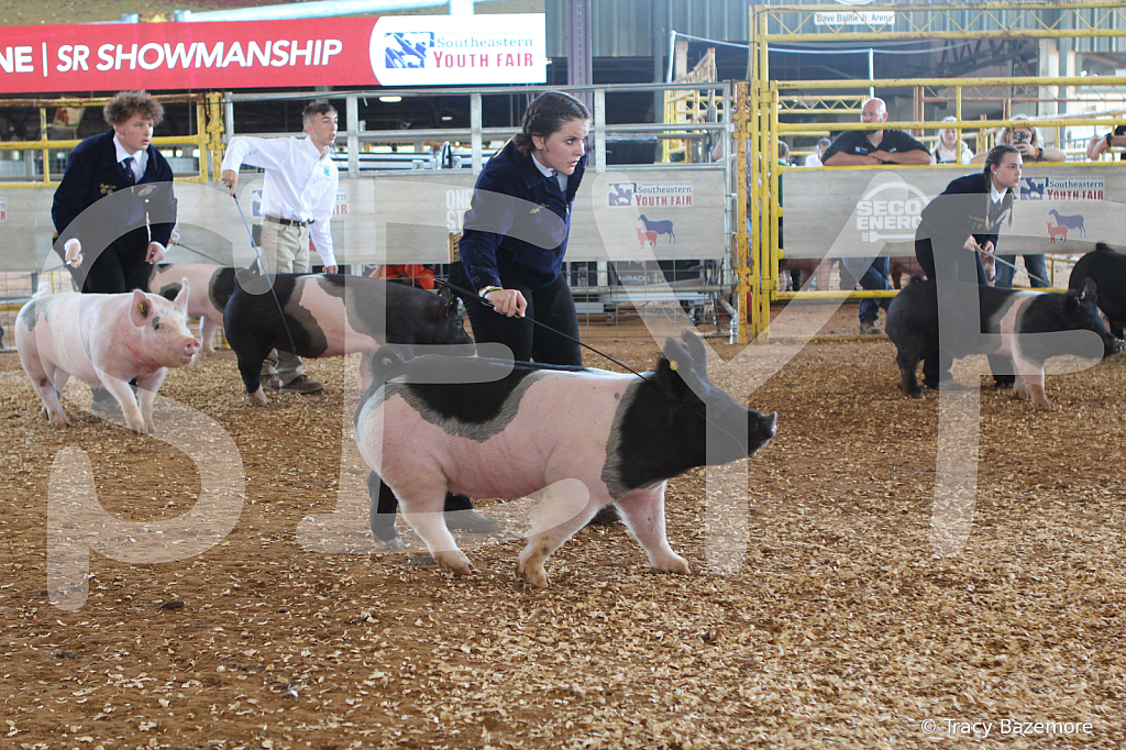 swine9470