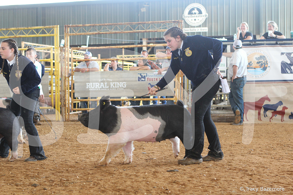 swine9472