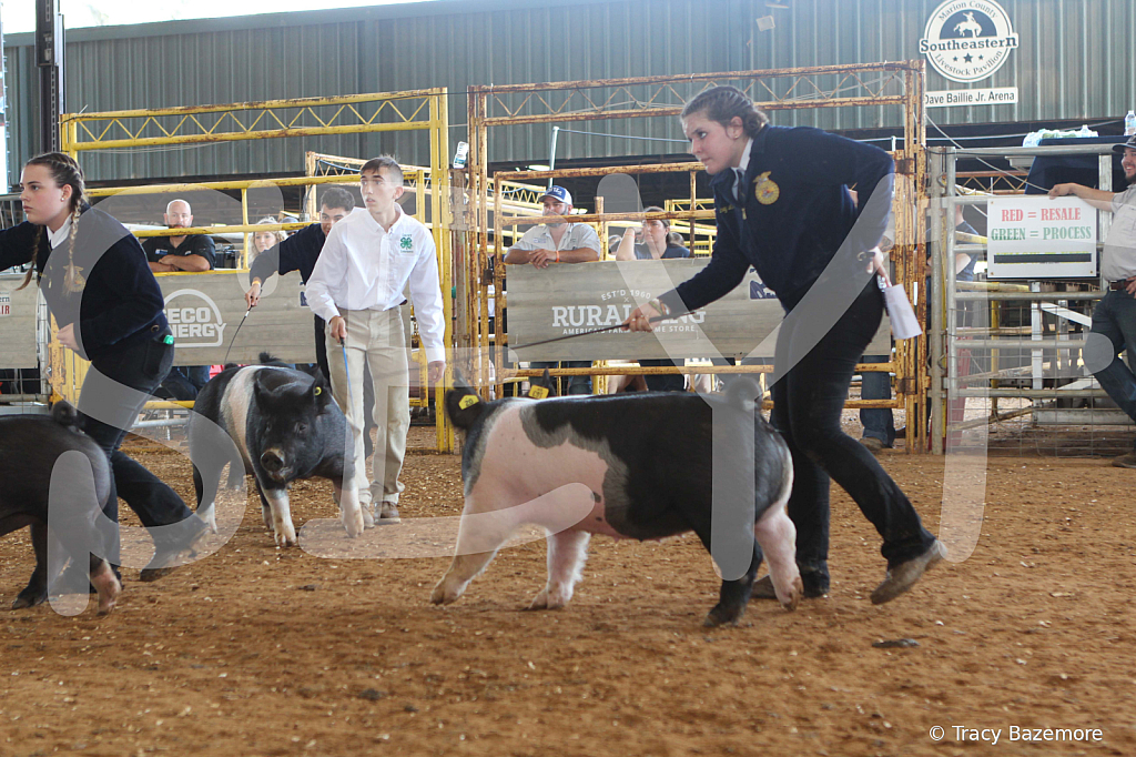 swine9473