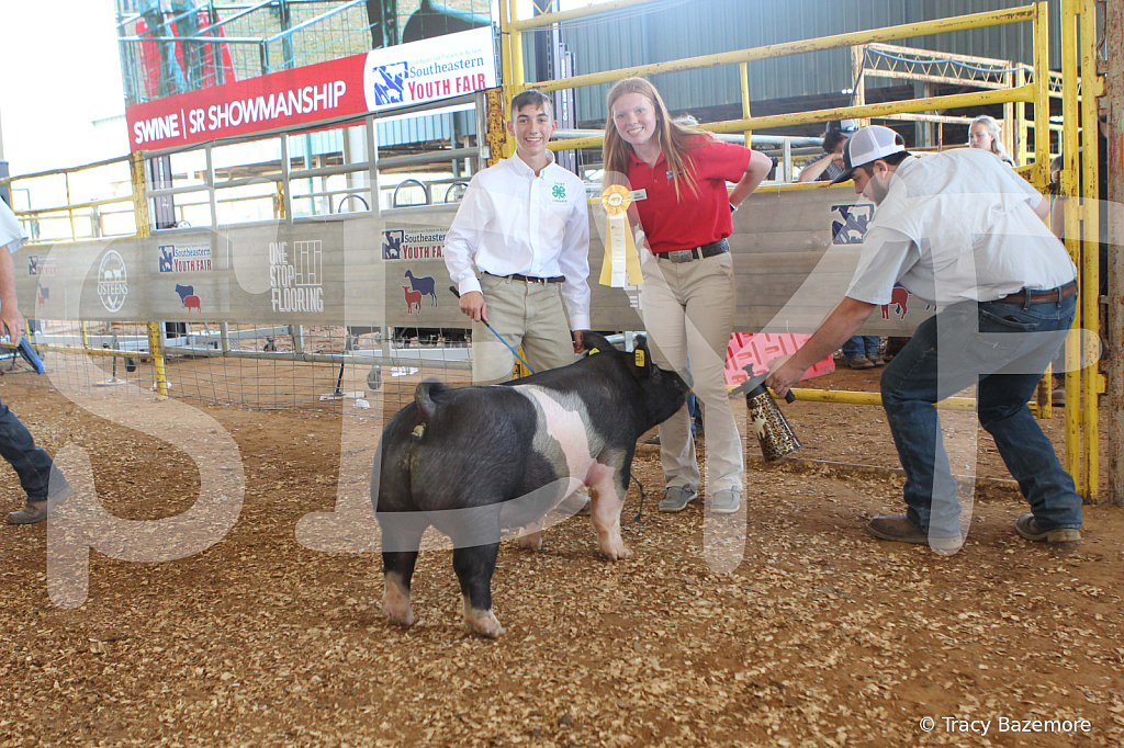 swine9475