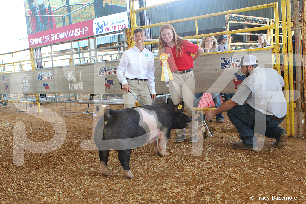 swine9476