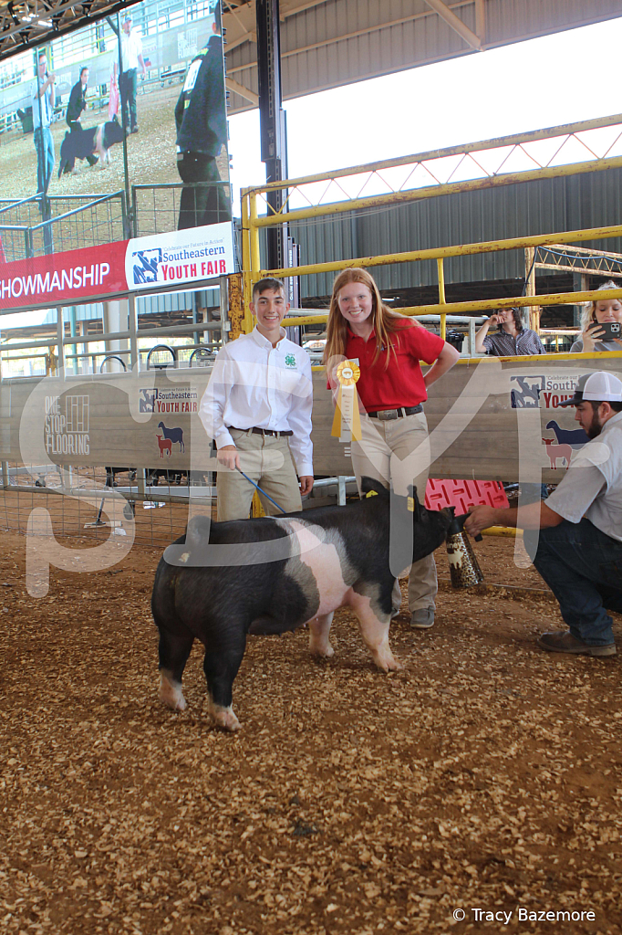 swine9477