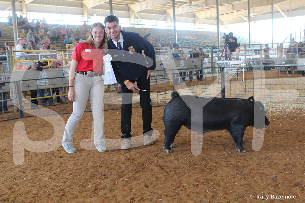 swine9479