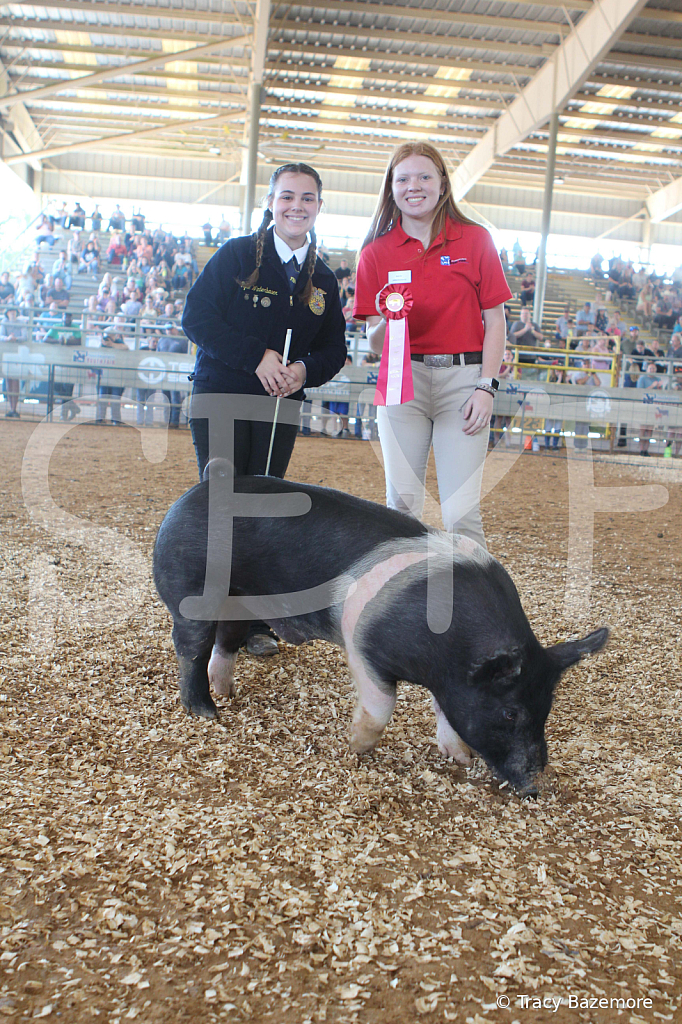 swine9482