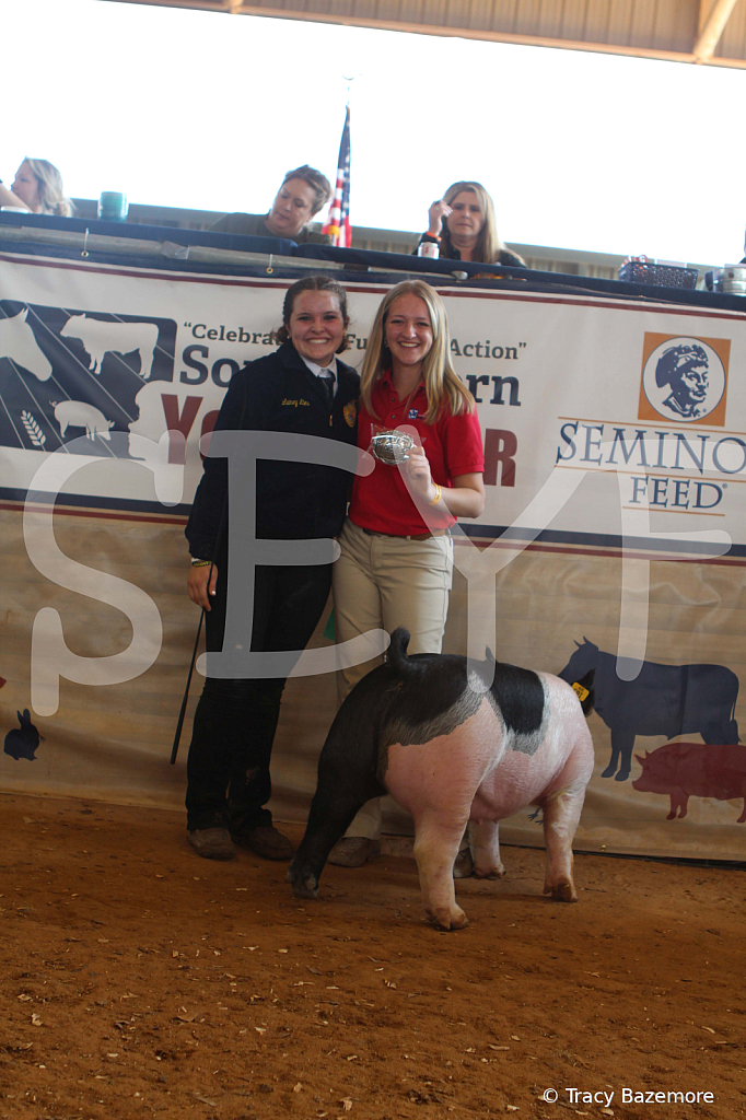 swine9483