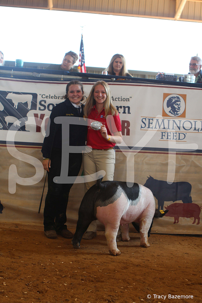 swine9484