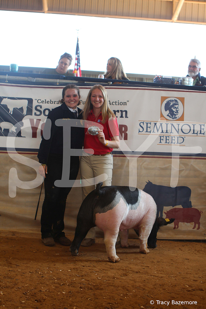 swine9485