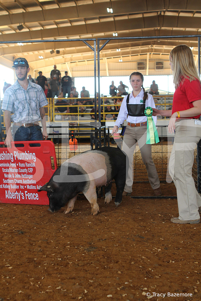 swine9486