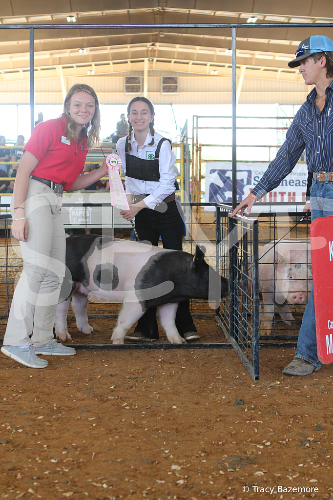 swine9489