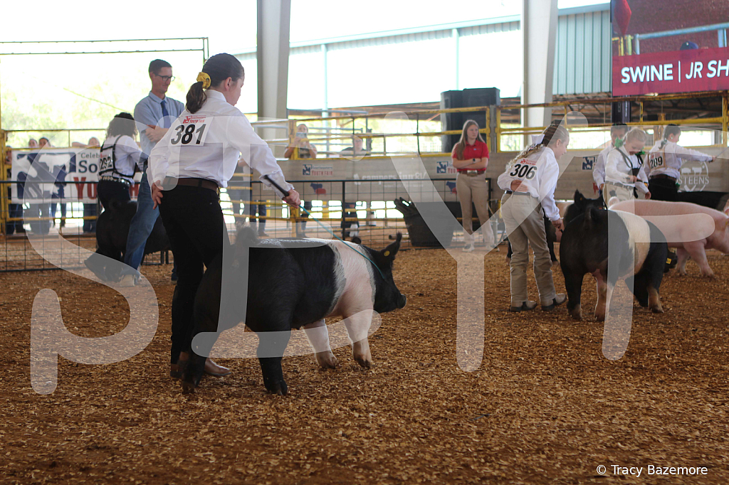 swine9831