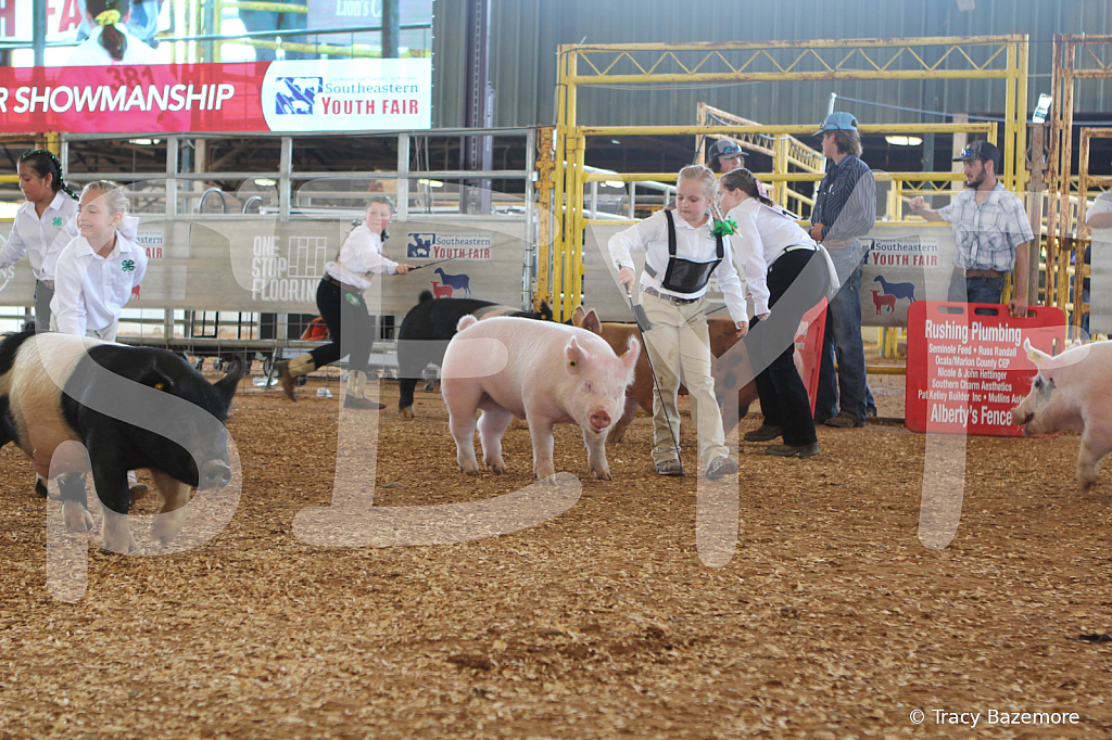 swine9832