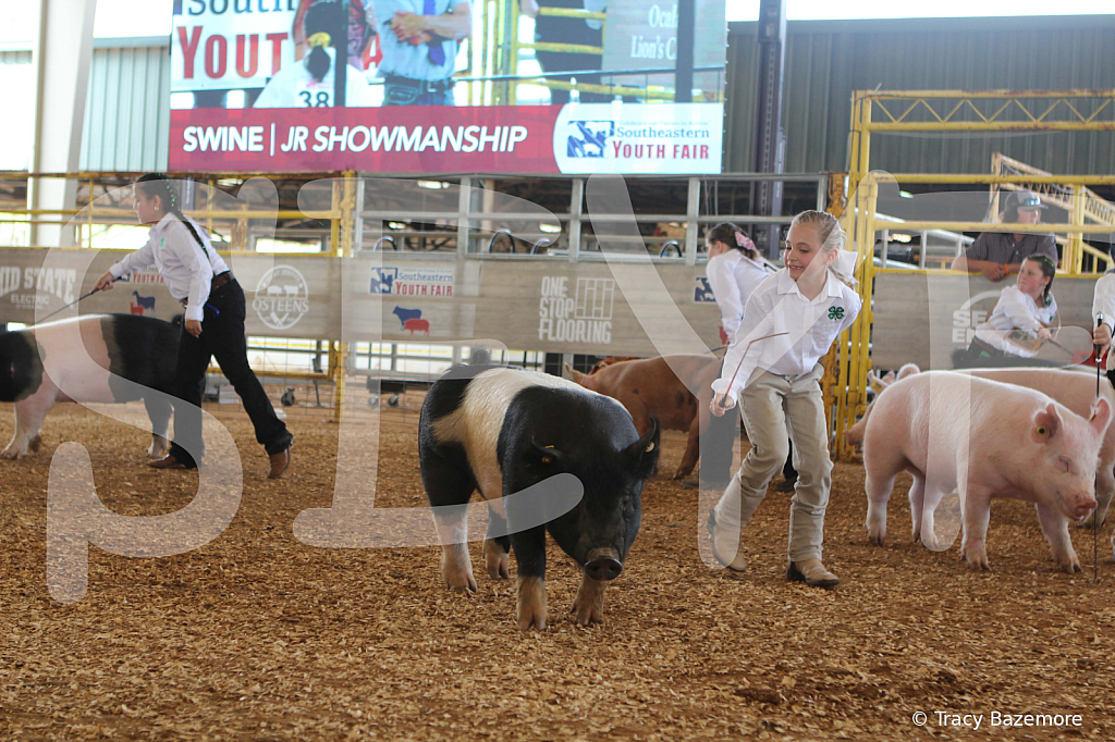swine9833