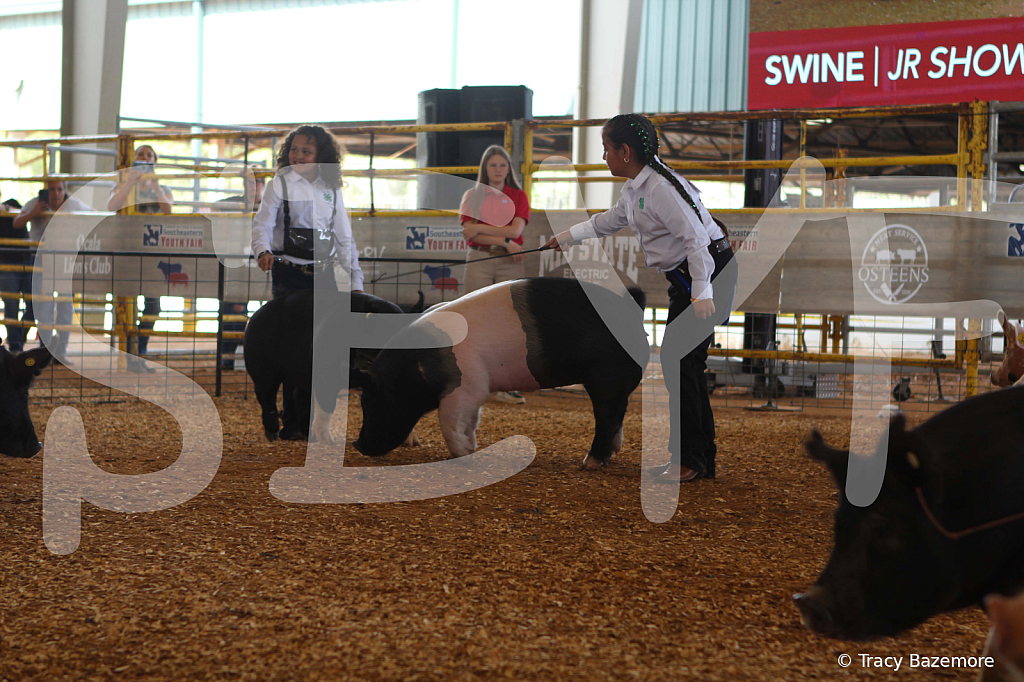 swine9834