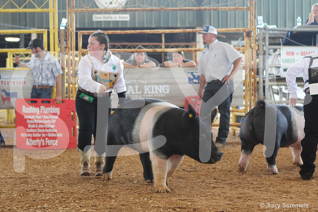 swine9835
