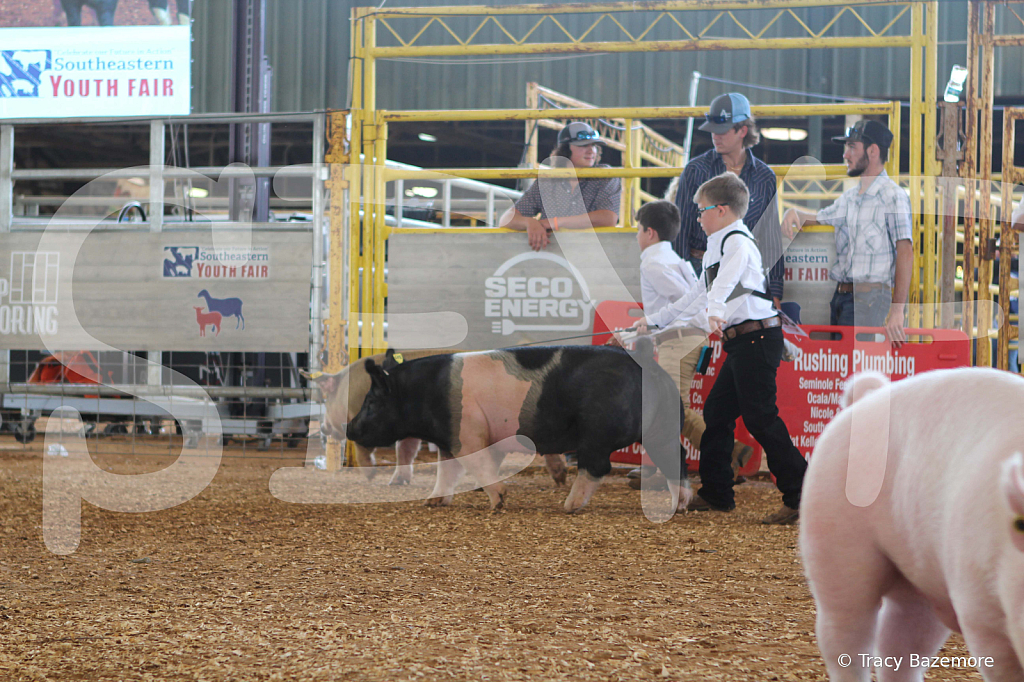 swine9836
