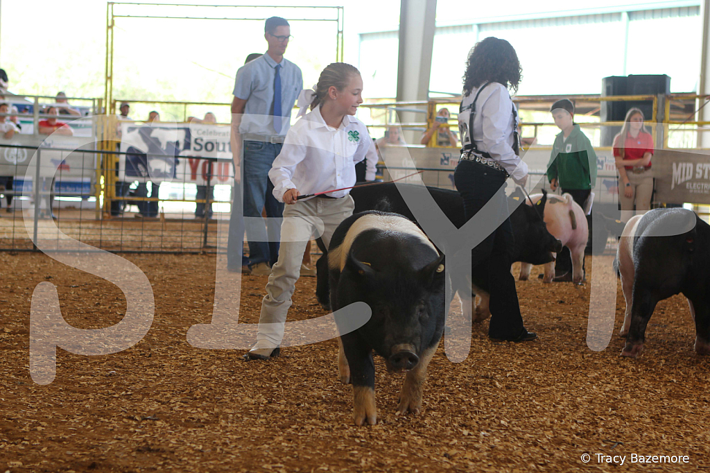 swine9837