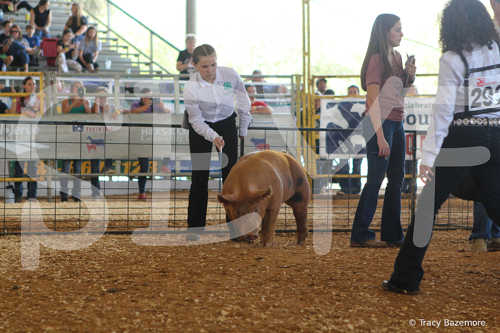 swine9839