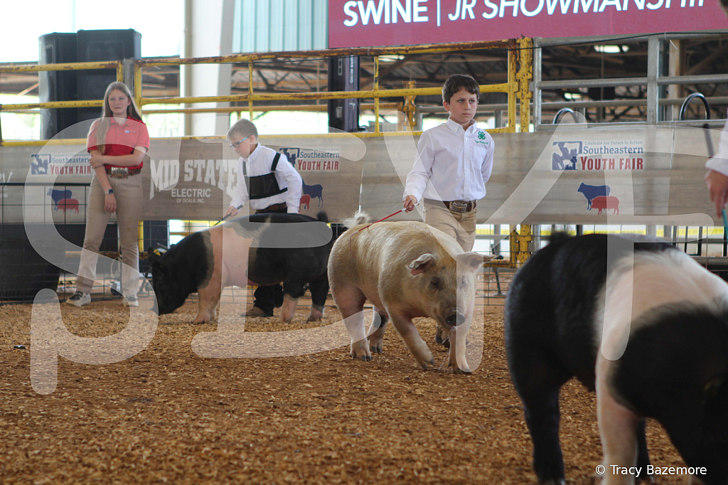 swine9840