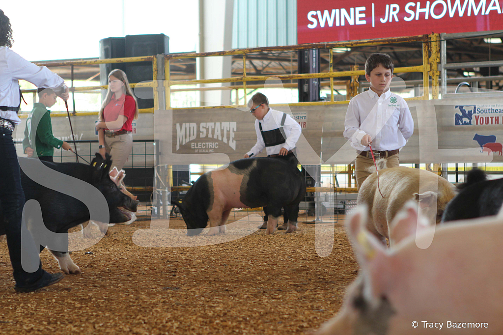 swine9841