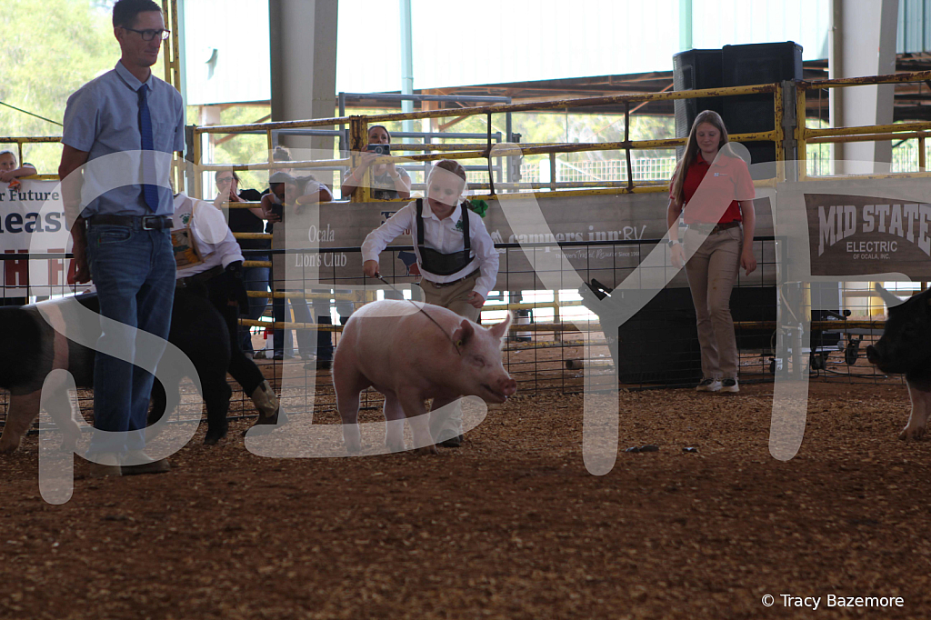 swine9842