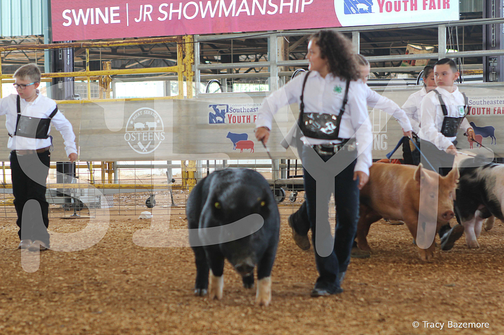 swine9843
