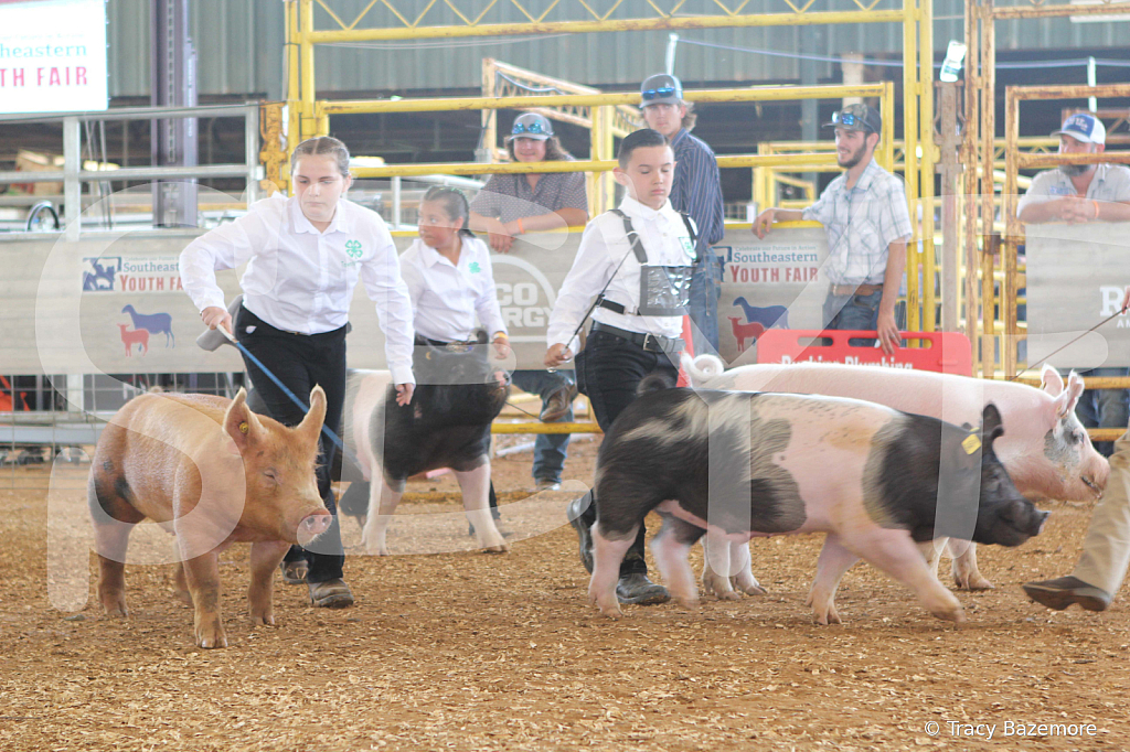 swine9844