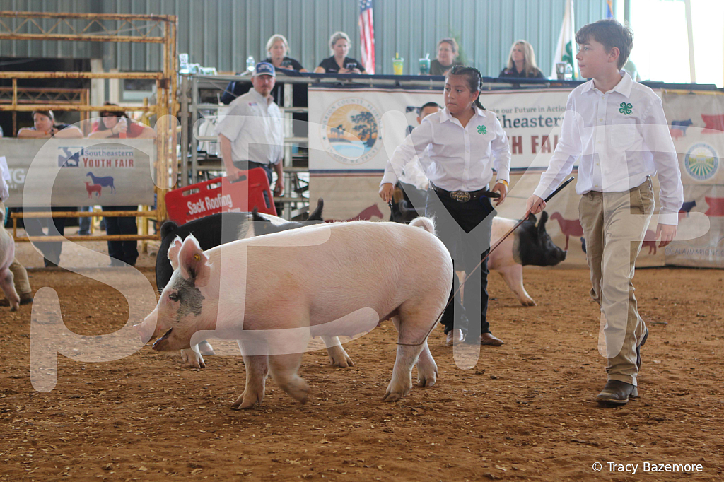 swine9845