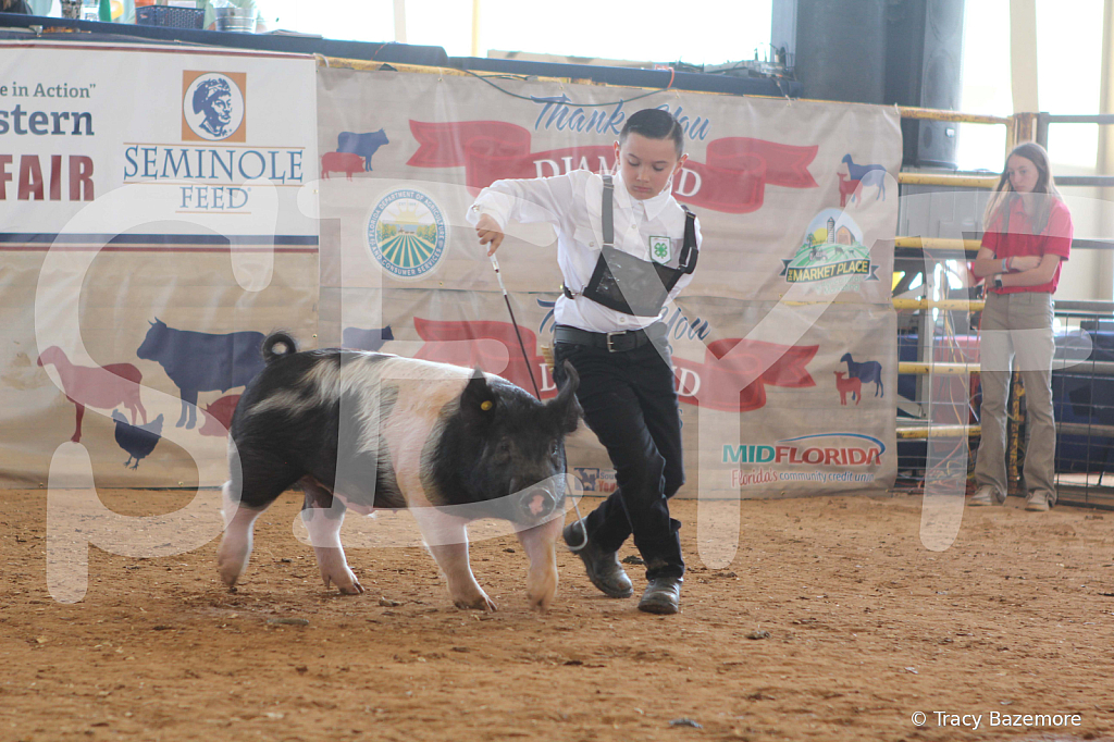 swine9846
