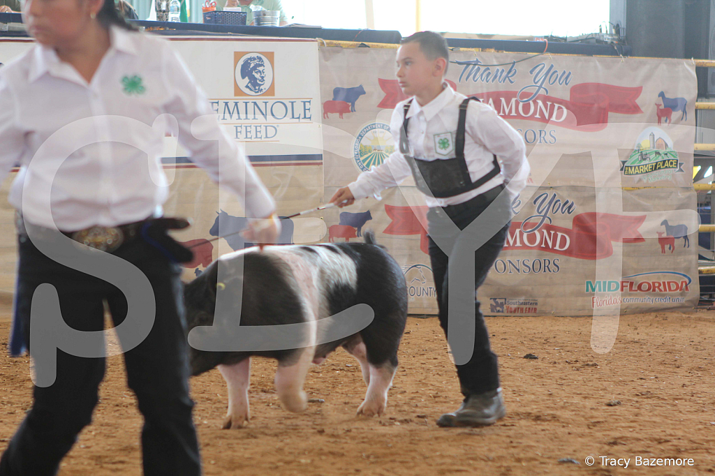 swine9847