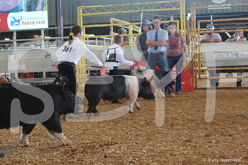 swine9849