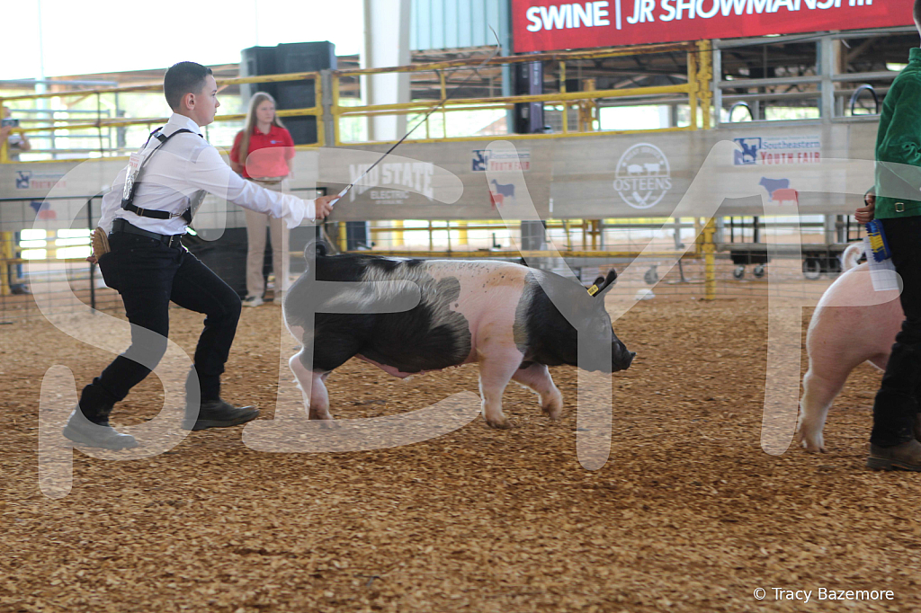 swine9852