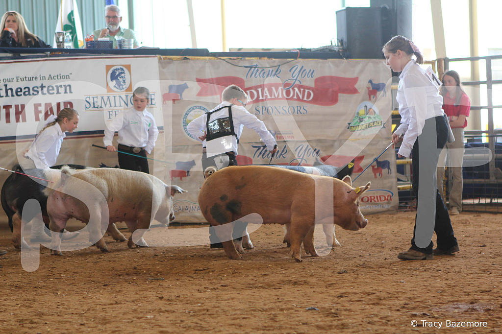 swine9853